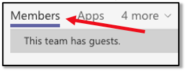Microsoft Teams - Adding and removing Members and adjusting their roles